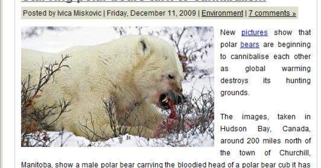 Incalzirea globala transforma ursii polari in canibali