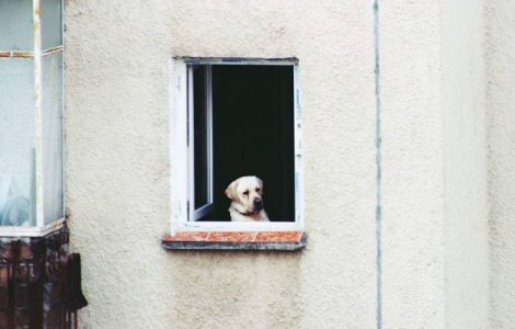  Top  Bucurestiul vazut prin ochii unui "pieton". Top 5 fotografii care te vor face sa iubesti acest oras