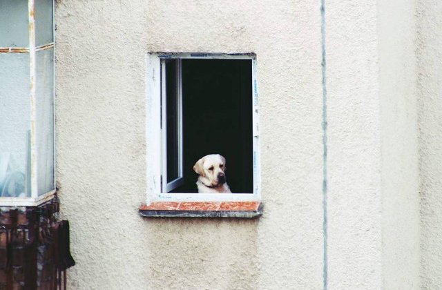 Bucurestiul vazut prin ochii unui "pieton". Top 5 fotografii care te vor face sa iubesti acest oras