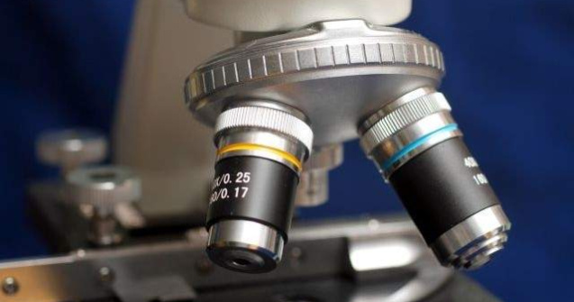 Biologii au reusit sa intarzie procesul de imbatranire si sa extinda perioada de viata la o specie de musculite