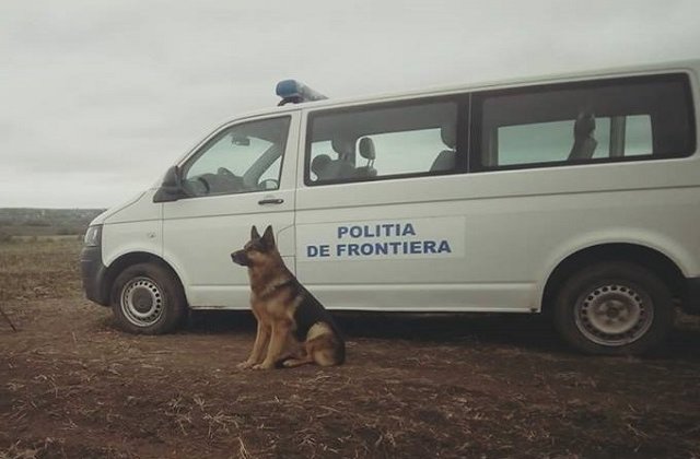 Doi libanezi si un algerian, solicitanti de azil in Romania, depistati cand incercau sa treaca ilegal frontiera in Ungaria