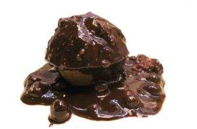 Iepurasii de Paste se topesc in fata pretului ciocolatei