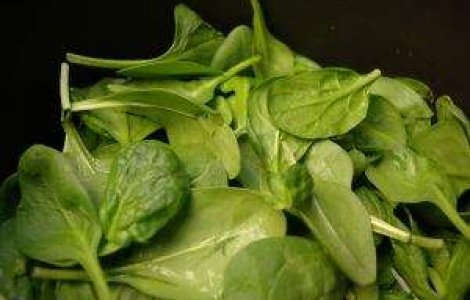 OMS: Alimentele japoneze pot fi consumate in siguranta