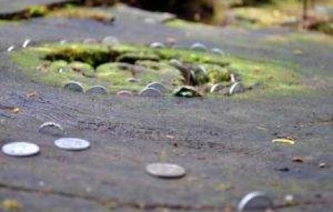  Top  Reconstructia Japoniei ar putea dura 5 ani de zile