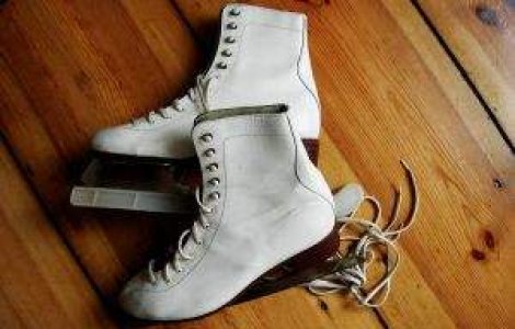 Japonia a renuntat definitiv la organizarea CM de patinaj artistic