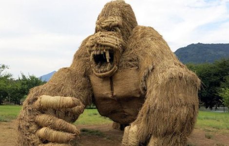 Japonia, invadata de monstri din paie dupa recoltarea orezului