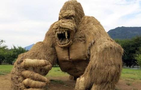  Video  Japonia, invadata de monstri din paie dupa recoltarea orezului