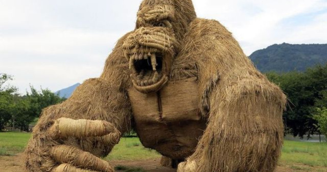 Japonia, invadata de monstri din paie dupa recoltarea orezului
