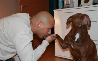 10+ imagini care demonstreaza...