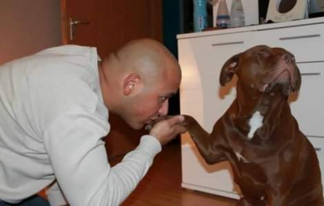  Top  10+ imagini care demonstreaza ca viata de caine e... mai buna decat a multora dintre noi