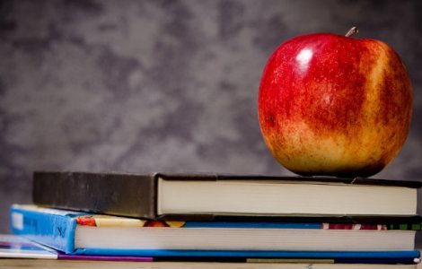 Cat cheltuiesc romanii lunar pentru alimentele cu care isi trimit copiii la scoala