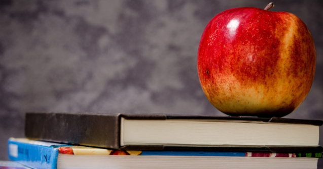 Cat cheltuiesc romanii lunar pentru alimentele cu care isi trimit copiii la scoala