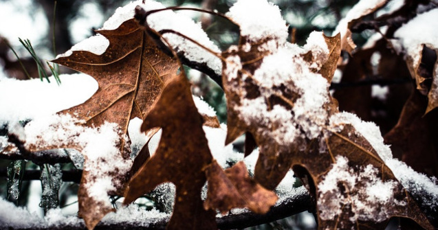 Avertizari cod PORTOCALIU si cod GALBEN de ploi si vant puternic pentru weekend. La munte va ninge