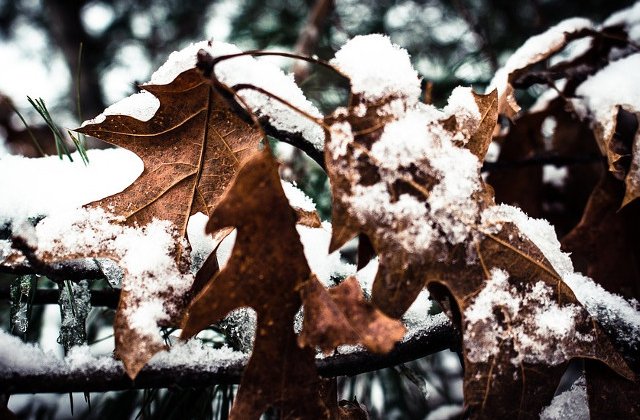 Avertizari cod PORTOCALIU si cod GALBEN de ploi si vant puternic pentru weekend. La munte va ninge