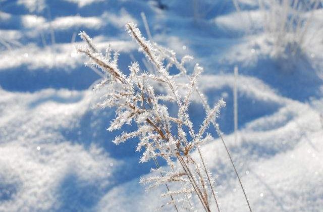 Strat de zapada de 82 de centimetri la Varful Omu. Ninge in mai multe zone, iar drumarii au imprastiat deja cinci tone de material antiderapant