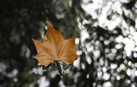 Avertizarile de cod galben si portocaliu de ploi abundente si vant puternic au fost prelungite