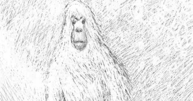 Exista Yeti, omul zapezilor?