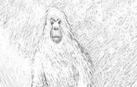 Exista Yeti, omul zapezilor?