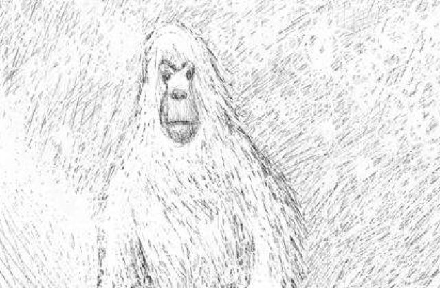 Exista Yeti, omul zapezilor?