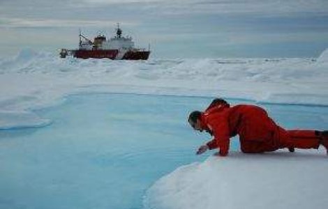  Top  Secrete de supravietuire in zona Arctica