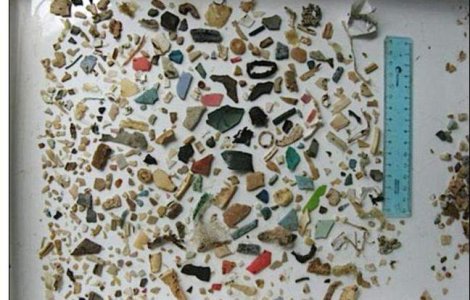 S.O.S: Plasticul ucide viata marina!