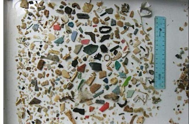 S.O.S: Plasticul ucide viata marina!