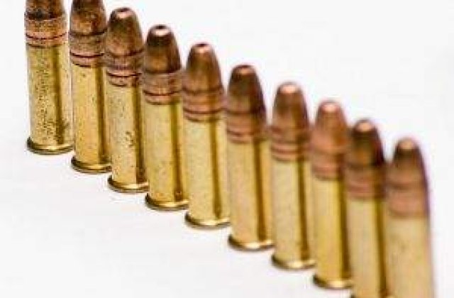 Romanii vor exporta in SUA arme de vanatoare