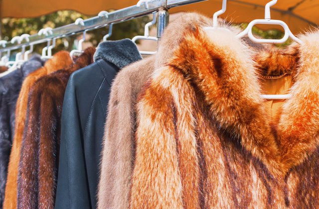 Casa de moda Gucci renunta la hainele din blana