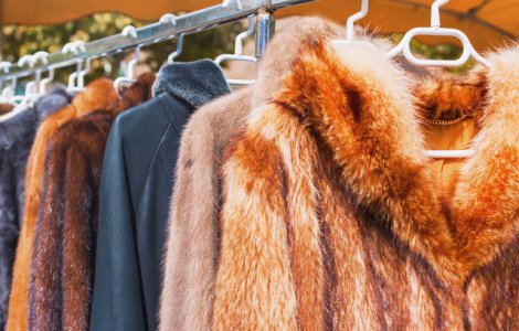 Casa de moda Gucci renunta la hainele din blana