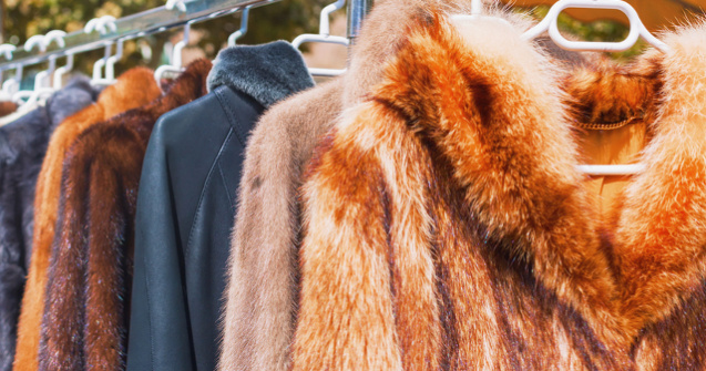 Casa de moda Gucci renunta la hainele din blana