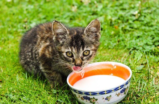 Nu merge pe principiul "crede si nu cerceta"! 10 mituri cotidiene in care sa nu mai crezi