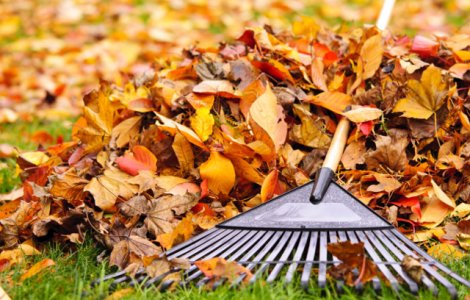 10 sfaturi utile in pregatirea curtii si gradinii pentru sezonul rece