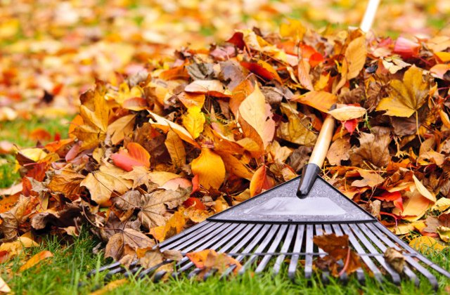 10 sfaturi utile in pregatirea curtii si gradinii pentru sezonul rece