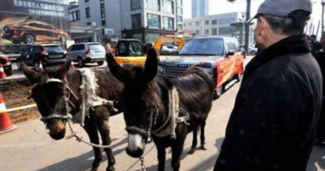 Un Range Rover tractat inapoi la dealer cu doi magari!