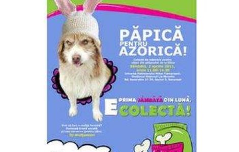 Papica pentru Azorica!