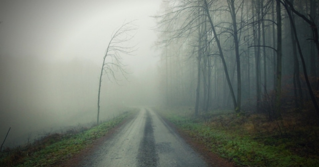 Cod GALBEN de ceata in sase judete