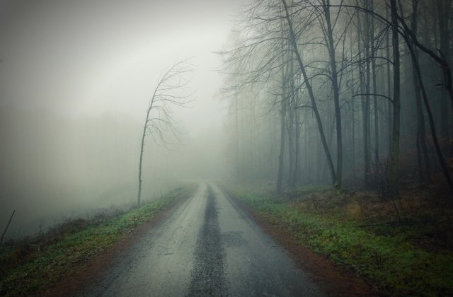 Cod GALBEN de ceata in sase judete