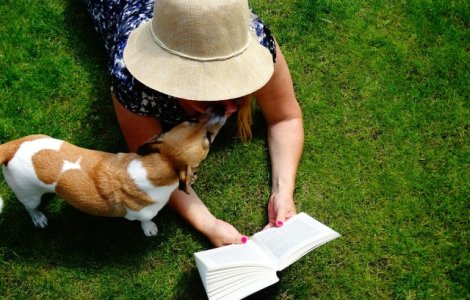  Top  Cainii fac intotdeauna ce simt! 10+ imagini care ilustreaza din plin acest lucru