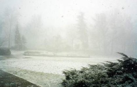 Furtuna de zapada in SUA