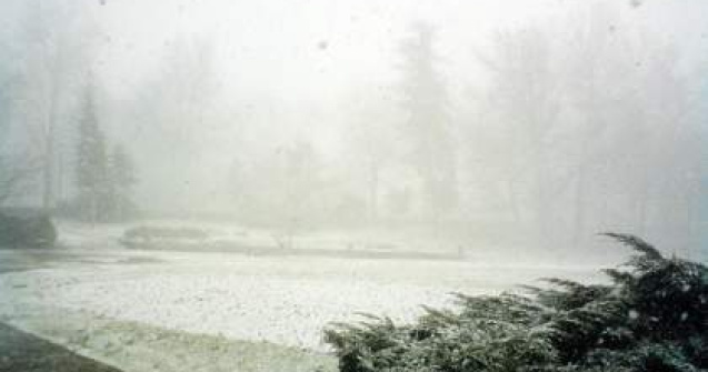 Furtuna de zapada in SUA