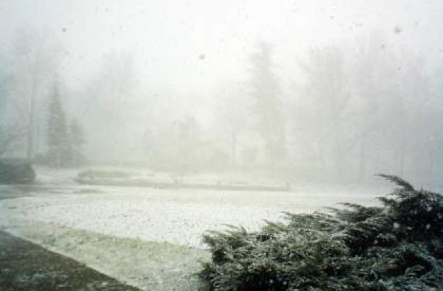 Furtuna de zapada in SUA