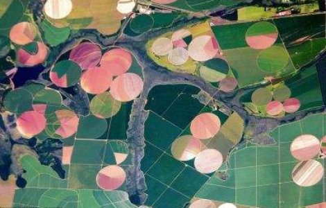  Top  Arta de a distruge Pamantul - in imagini