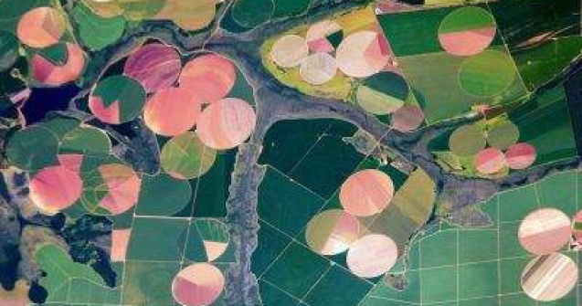  Top  Arta de a distruge Pamantul - in imagini