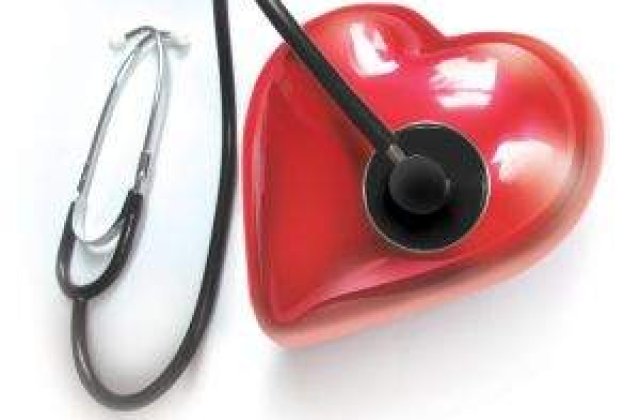 Inima umana, creata in laborator