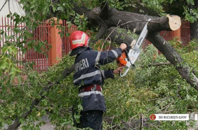 Bilant ISU in Bucuresti - doua persoane ranite, 146 de copaci doborati de vant, 80 de masini avariate, in urma vantului puternic