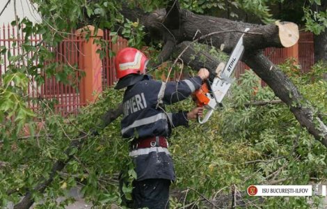 Bilant ISU in Bucuresti - doua persoane ranite, 146 de copaci doborati de vant, 80 de masini avariate, in urma vantului puternic