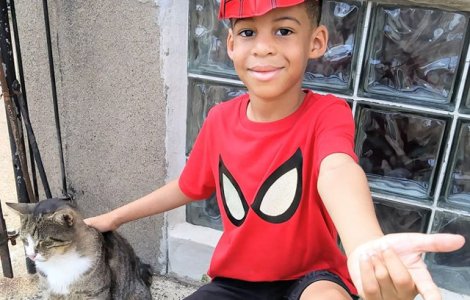 Salveaza pisicile fara stapan imbracat in supererou