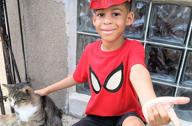 Salveaza pisicile fara stapan imbracat in supererou