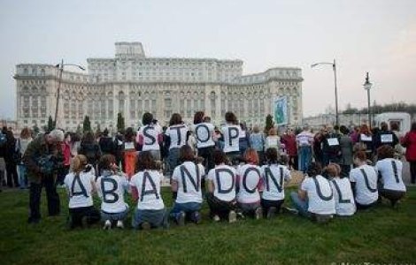 Cainii fara stapani, eutanasiati dupa 30 de zile la adapost?