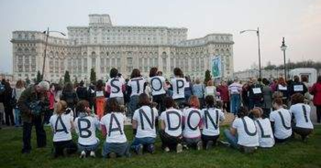 Cainii fara stapani, eutanasiati dupa 30 de zile la adapost?